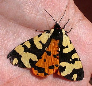 Extremadura - latest news